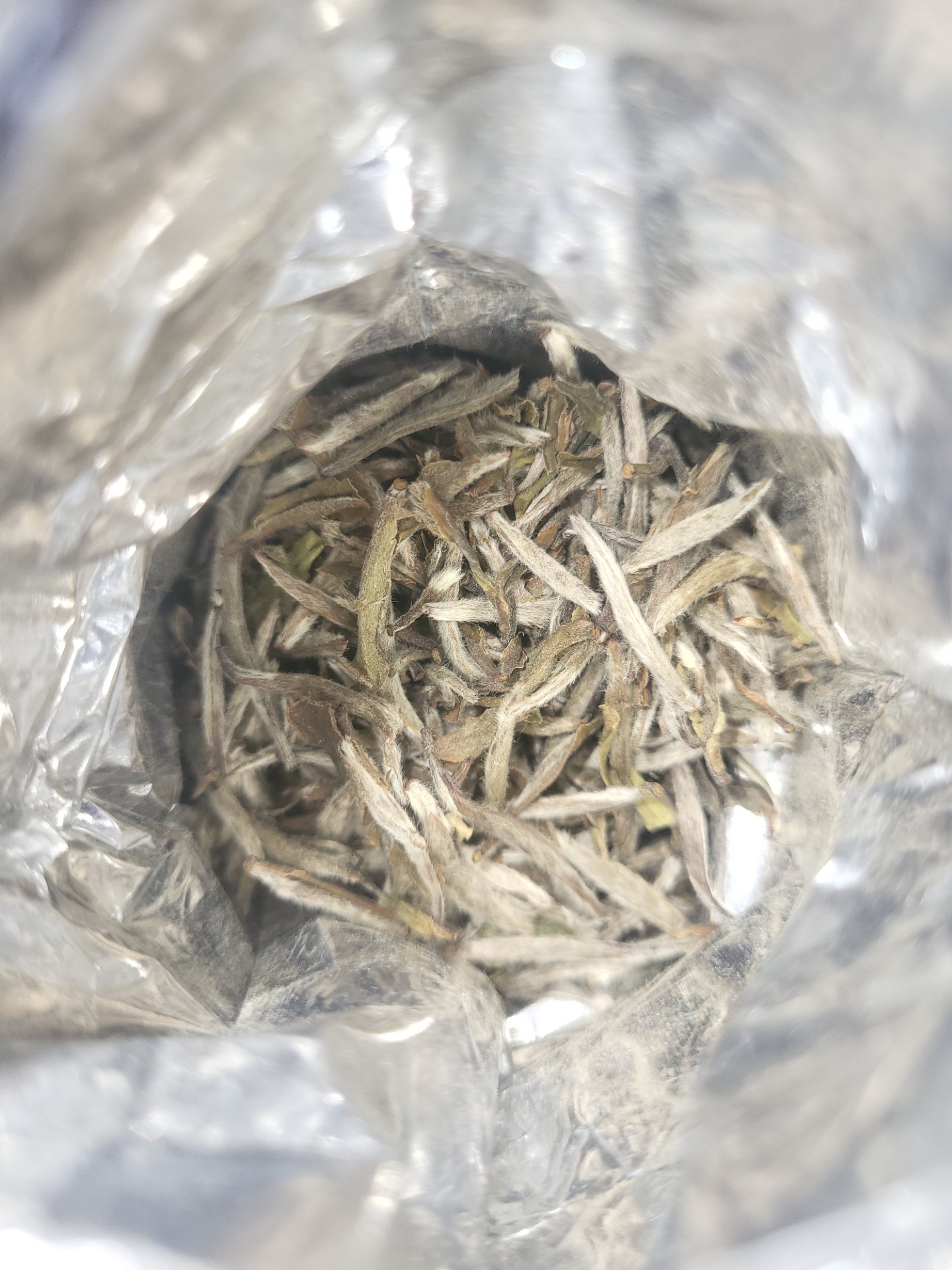 Introduction to the types of Tea: White Tea